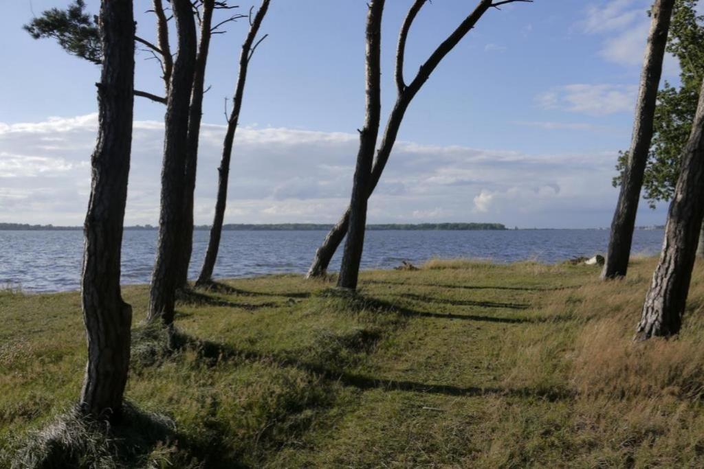 Fewo 08 Seemoewe Mit Blick Auf Salzhaff Und Ostsee Rerik Exterior foto